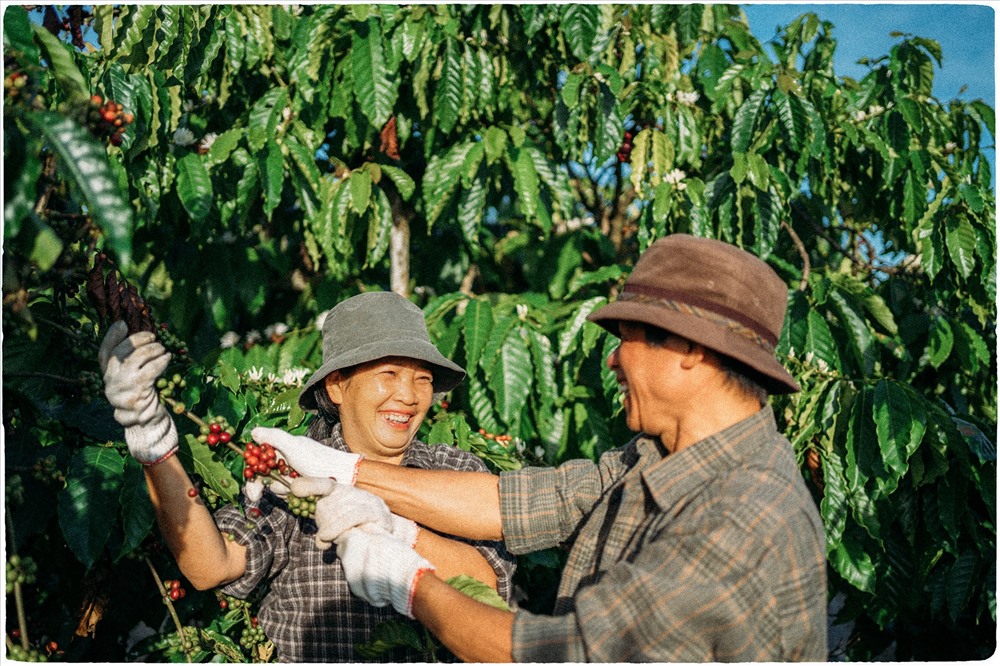 Lưu Xuân Đức cho biết cậu chụp bộ ảnh về bố mẹ cách đây chưa đầy một tuần. Bộ ảnh đã nhận được sự ủng hộ mạnh mẽ của cộng đồng mạng.