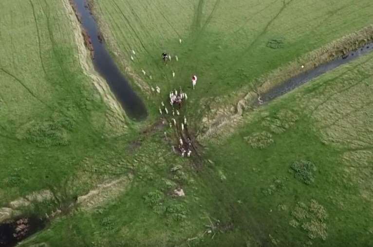 Cảnh tượng săn cáo được drone ghi lại. Ảnh: Kent Hunt Sabs