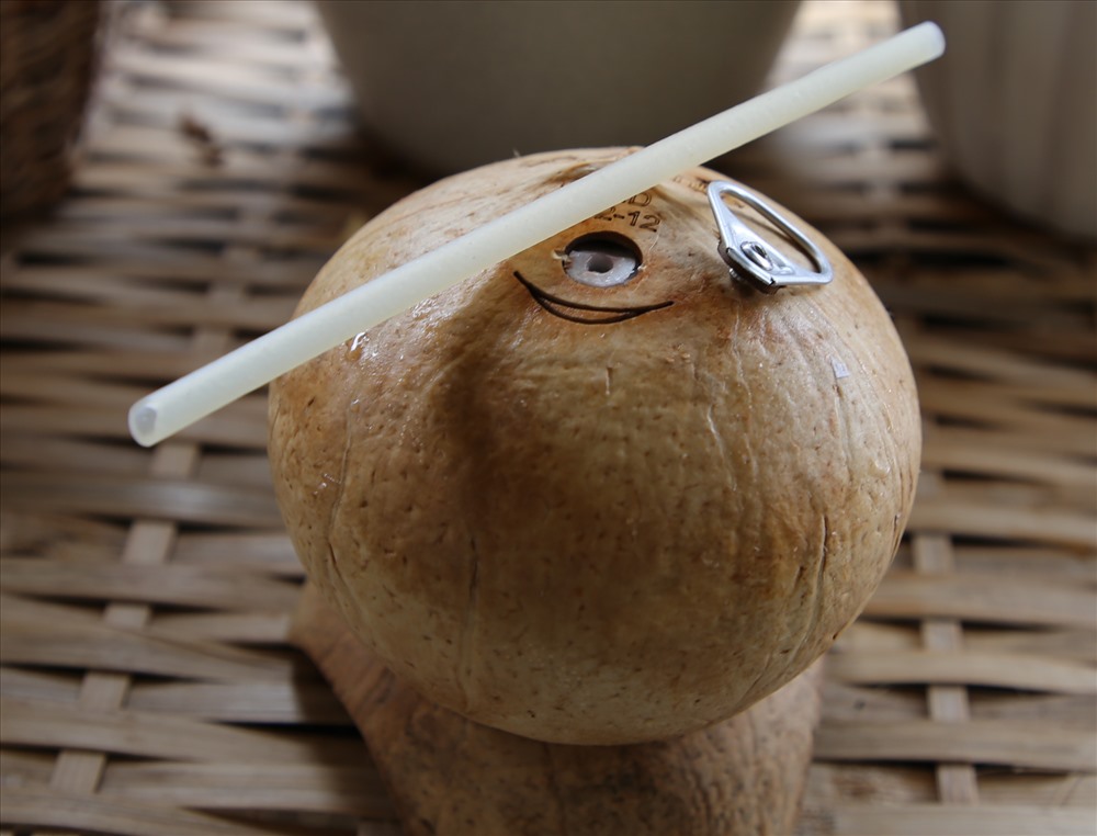 Mỗi quả “dừa cười” được bán với giá khoảng 35.000 đồng kèm theo một ống hút dừa hoặc ống hút gạo. Người bán cũng không tặng kèm túi nilon. Ảnh: H.Thơ.