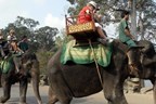 Hình ảnh cưỡi voi ở Angkor Wat sẽ đi vào dĩ vãng