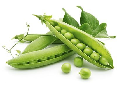 Một chén đậu Hà Lan có lượng protein bằng với 1 cốc sữa