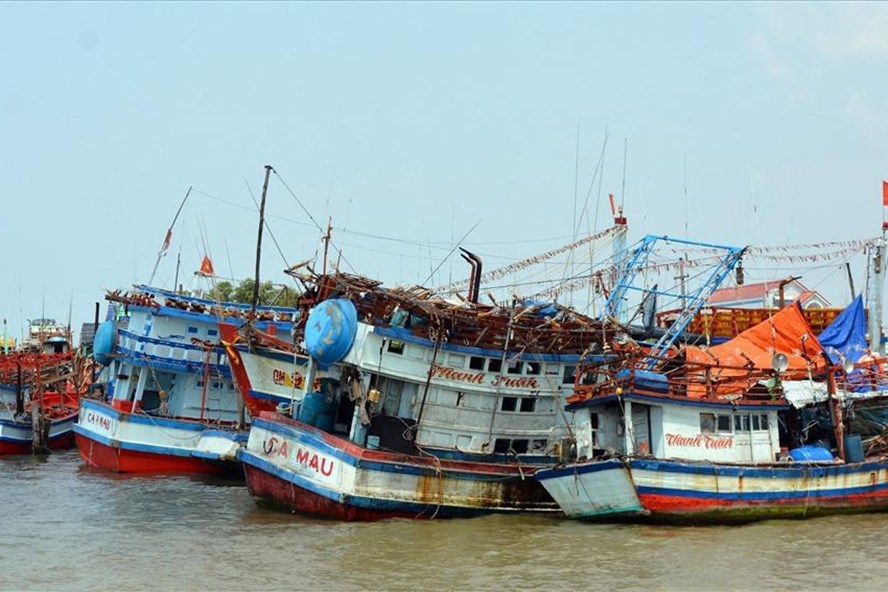 Khổ như tìm ngư phủ ra khơi