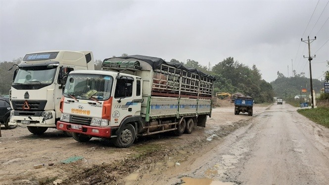 Xe tải chở lợn vẫn t&igrave;m mọi c&aacute;ch để b&aacute;n lợn sang Trung Quốc. Ảnh: Theo NNVN