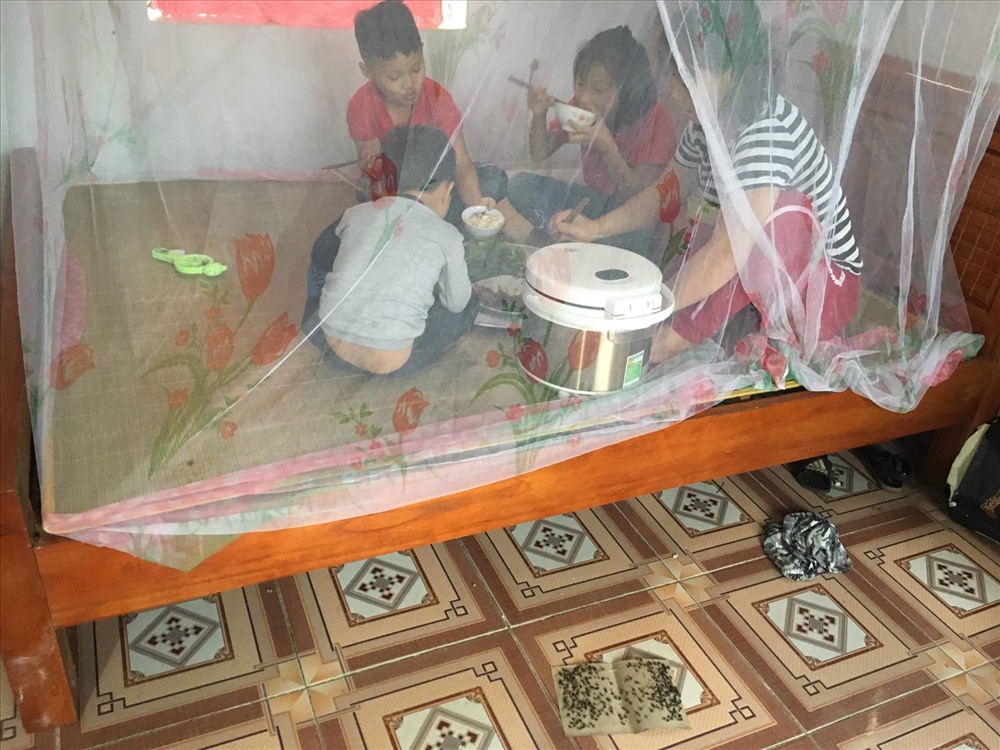 Người dân Đồng Lương (Cẩm Khê, Phú Thọ) phải mắc màn mới có thể dùng bữa. Ảnh: Người dân cung cấp.