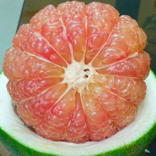 Bưởi có chứa nhiều vitamin C và ít calo. ảnh: S.T