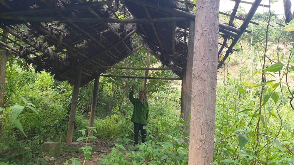 Thật khó có thể tin những khu vực này được giới thiệu là hệ thống công sự, khu văn phòng liên tỉnh IV, phòng làm việc ban cán sự B4, hội trường, trạm quân y, cầu qua khu căn cứ, đường nội bộ khu căn cứ, nhà lưu niệm, bia tưởng niệm, tượng đài thuộc khu khánh tiết, trồng cây xanh tạo cảnh quan ở khu căn cứ…