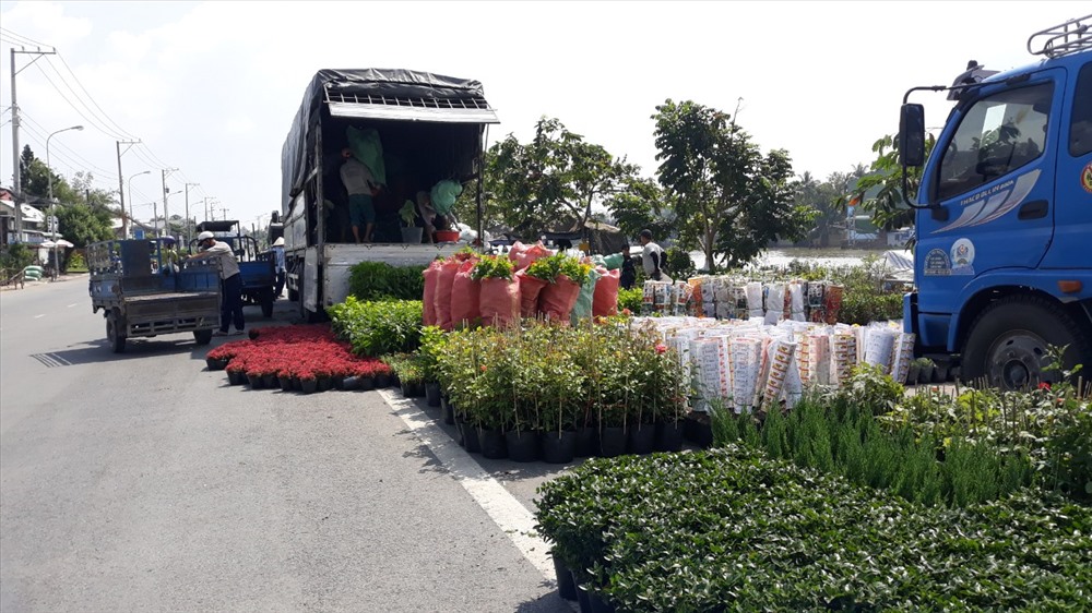 Xe vận chuyển hoa đến các tỉnh