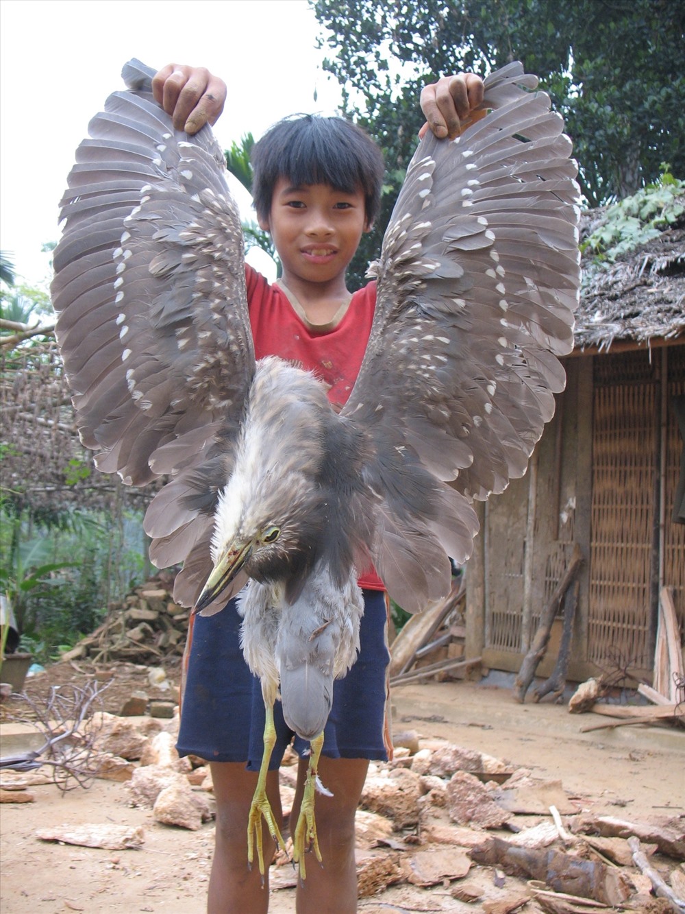 Đạn súng tự chế và cảnh tận diệt chim sâm cầm “tiến vua” cùng nhiều loài chim hoang dã khác ở Phú Thọ. Ảnh: Tâm Am