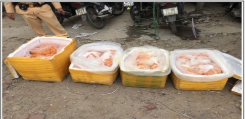 (Lực lượng chức năng thu giữ 4 thùng xốp chứa nội tạng động vật đã bốc mùi)