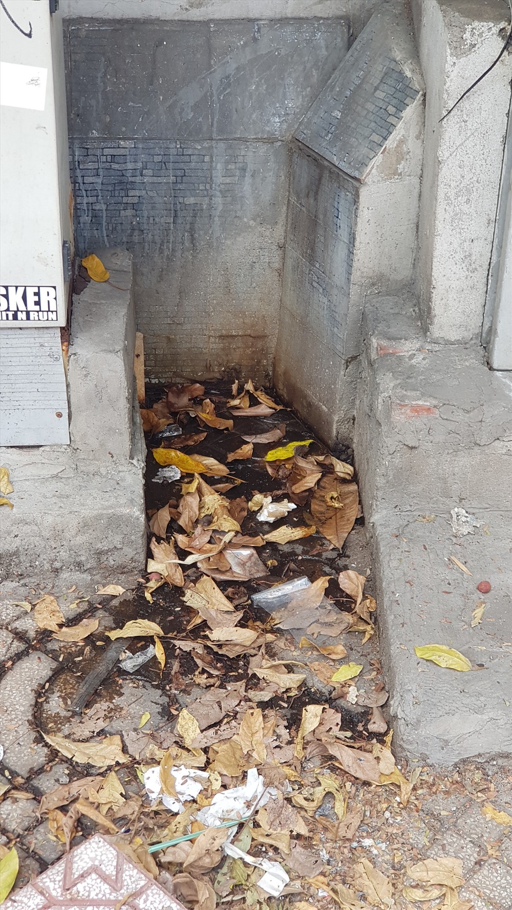 Mùi hôi thối bủa vây khiến những người sinh sống gần đây vô cùng khó chịu.