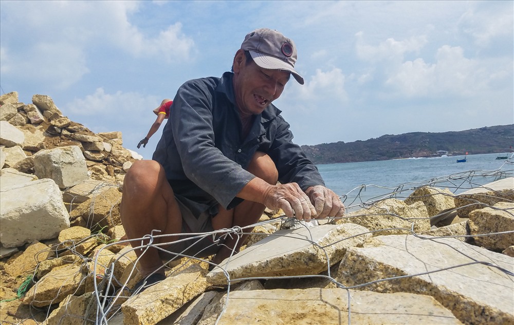 Gia đình ông Nguyễn Văn Khanh (65 tuổi, xã Nhơn Hải) hối hả gia cố bờ kè để ứng phó với cơn bão số 6. Nhà ông Khanh đã bị thiệt hại do cơn bão số 5; vì vậy, ông cùng bà con hàng xóm dùng rọ đá gia cố bờ kè bảo vệ căn nhà trước sóng lớn.