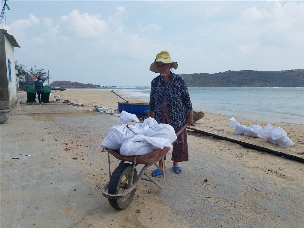 Còn ông Phan Trọng Hổ - Giám đốc Sở NNPTNT tỉnh Bình Định cho hay: “Những hộ dân nằm dọc tuyến kè biển Nhơn Hải bị sóng đánh sập trong đợt bão số 5 vừa rồi, tỉnh cũng đã chỉ đạo chèn chống nhà, di dời tất cả người dân ra khỏi vùng nguy hiểm”.