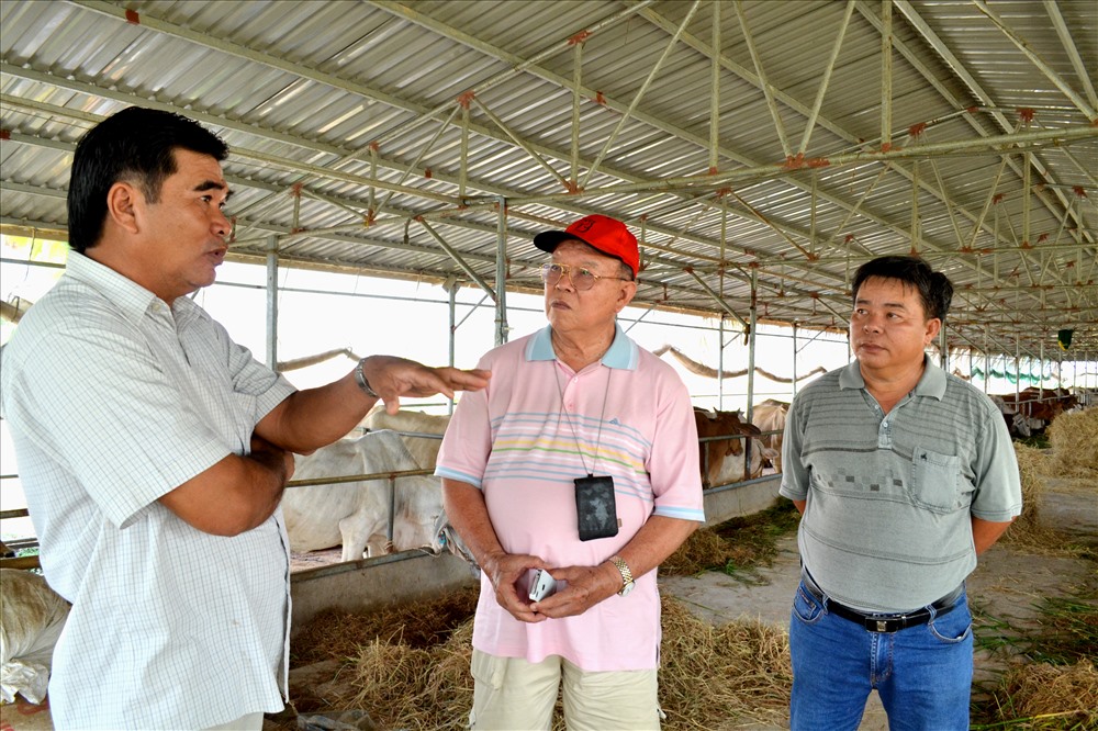 GS.TS Võ Tòng Xuân (giữa) thăm trang trại nuôi bò của ông Nguyễn Lợi Đức (Tri Tôn - An Giang). Ảnh: LT