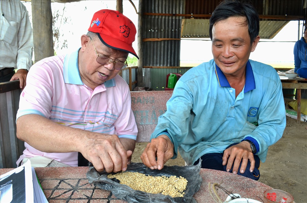 Thăm nông dân sản xuất lúa quy mô lớn ở Tứ giác Long Xuyên. Ảnh: LT
