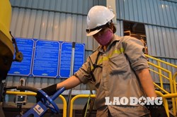 Lao động việc làm - Vấn đề hôm nay