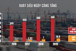 Việt Nam vượt khó đạt tổng kim ngạch xuất nhập khẩu ấn tượng