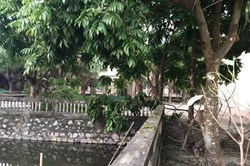 Phát hiện nguyên Phó giám đốc tử vong dưới ao trong bệnh viện