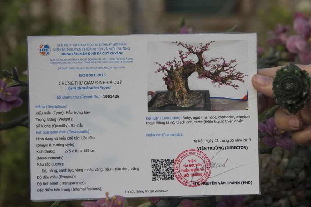 Chứng nhận đá quý được cấp bởi Trung tâm kiểm định đá quý và vàng của viện Tài nguyên Thiên nhiên và Môi trường. Số đá quý được nhập ở Lục Yên - Yên Bái, quê của một thành viên trong đoàn.
