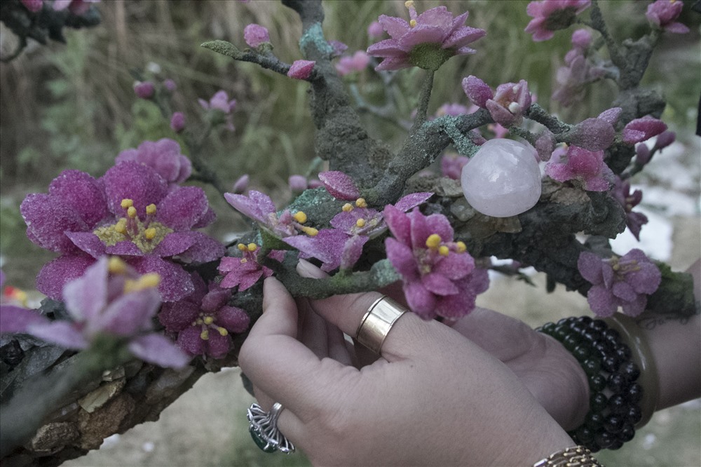 Cây đào được huy chương vàng hội chợ triển lãm đá quý tại Bắc Ninh năm 2019. Chứng nhận đá quý được cấp bởi Trung tâm kiểm định đá quý và vàng của viện Tài nguyên Thiên nhiên và Môi trường.