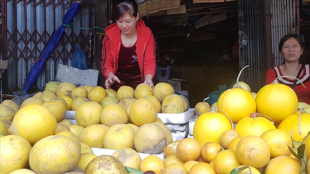 Giống bưởi Diễn trồng tại Hoài Đức cũng cho vị ngọt thơm, nếu khéo mua giá chỉ 20.000 đồng/quả. Ảnh: Kh.V (chụp sáng 17.12.2019)