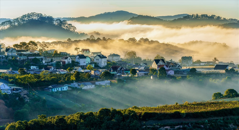 Những mái nhà ngập trong nắng vàng và sương trắng, những con đường rực rỡ ánh sáng.