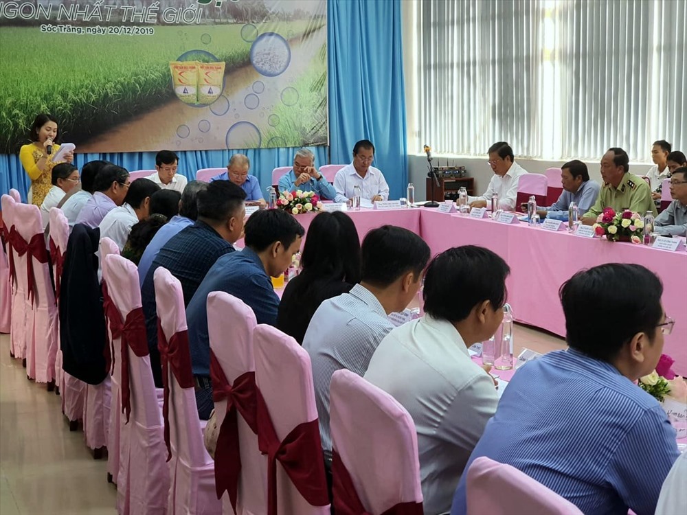 Bảo vệ gạo ngon nhất thế giới hiện tại quan trọng hơn phát triển, nhân rộng trước tình trạng gạo giả, lúa giả tràn lan (ảnh Nhật Hồ)