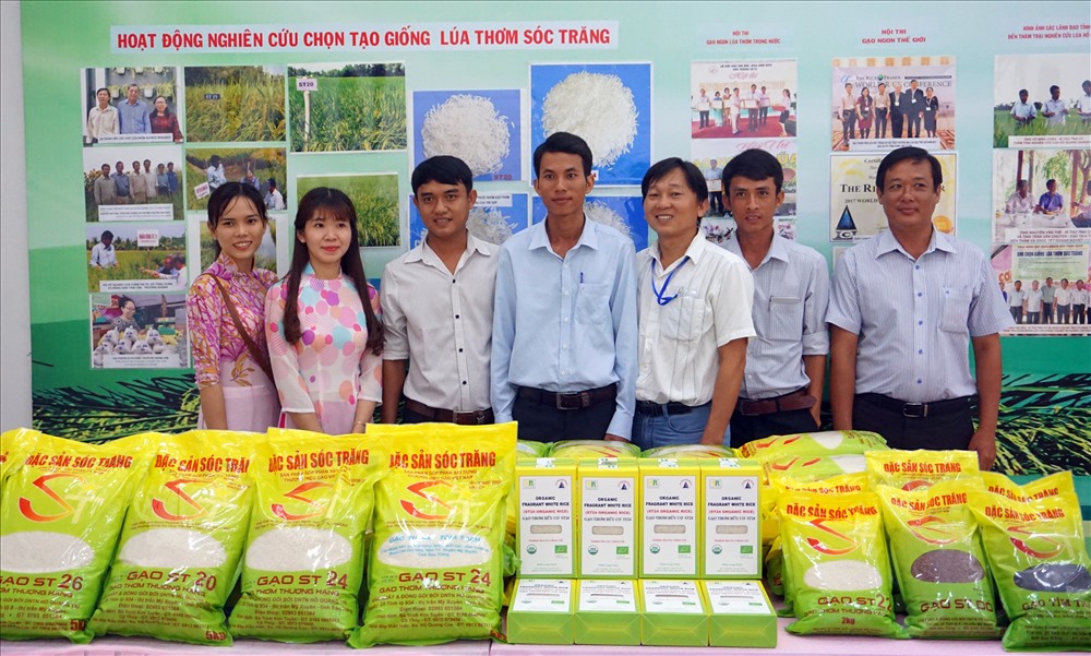 Trước đây ST24 cũng được xét đặc cách giống quốc gia (ảnh Nhật Hồ)