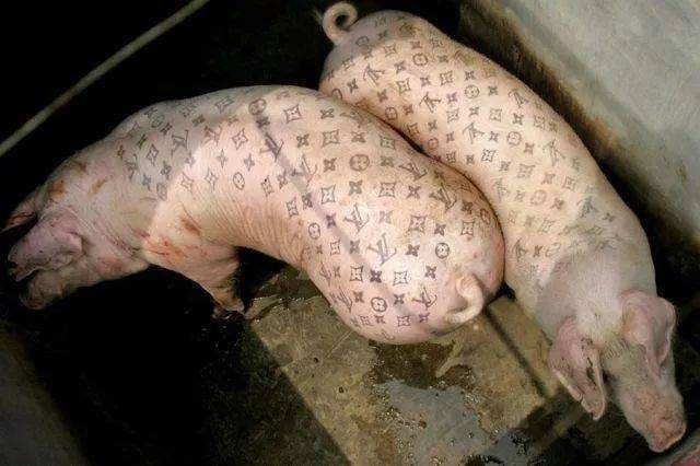 Thịt lợn giờ đây được ví như mặt hàng “xa xỉ” giữa thời bão giá.