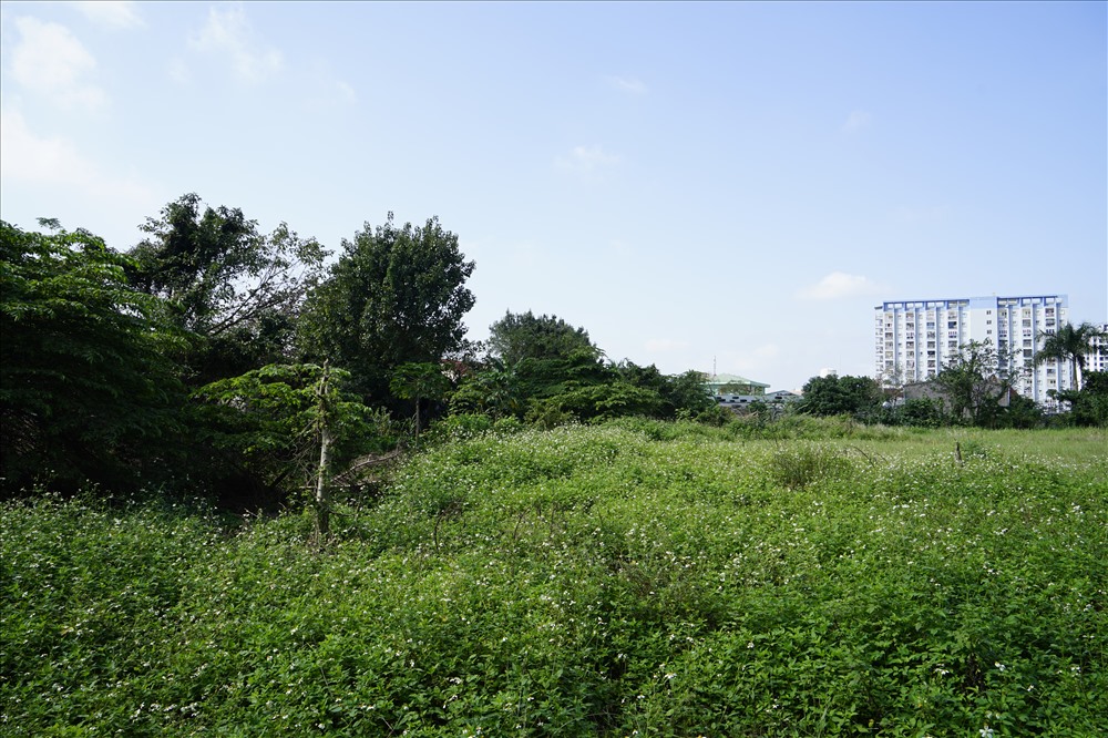 UBND tỉnh Nghệ An cam kết thu hồi đất, bàn giao mặt bằng “sạch” cho nhà đầu tư, nhưng thực tế quá trình giải phóng mặt bằng chậm trễ, kéo dài, dẫn đến khu đất “vàng” bị bỏ hoang quá lâu. Ảnh: QĐ