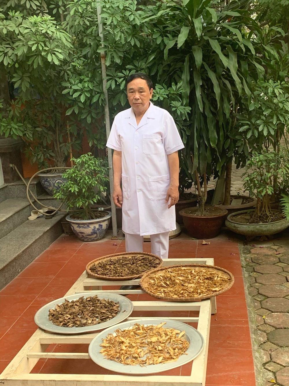 GS. TS Trương Việt Bình - Nguyên Hiệu trưởng Trường Y học cổ truyền Tuệ Tĩ Bộ Y Tế, Nguyên Giám đốc Học viện Y Dược Học Cổ truyền Việt Nam, đã có hơn 80 công trình nghiên cứu về các bài thuốc Y học Cổ truyền