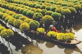Du lịch sinh thái vùng ĐBSCL. Ảnh: PV