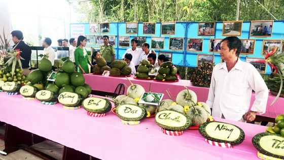 Hậu Giang xây dựng nông thôn mới gắn với các chương trình Mỗi xã một sản phẩm (OCO). Ảnh: Cao Phong