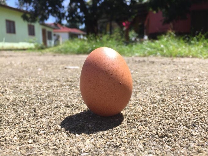 Quả trứng dựng đứng trên các bề mặt khác nhau. Ảnh: Twitter