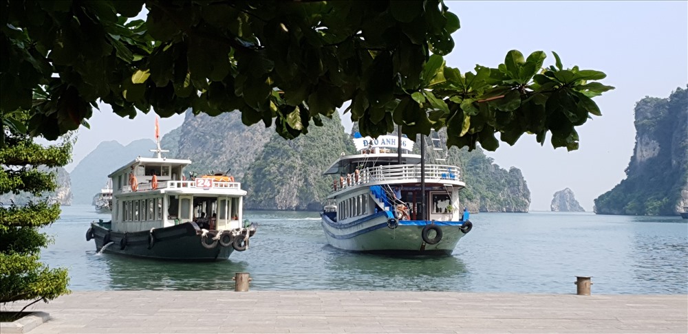 Vịnh Hạ Long lên ngôi “hoa hậu” lần đầu vào ngày 17.12.1994 về giá trị thẩm mỹ ngoại hạng. Sau đó, tỉnh Quảng Ninh đã xúc tiến việc đệ trình lên UNESCO công nhận Vịnh Hạ Long là di sản thế giới lần 2 về tiêu chí giá trị địa chất, địa mạo. Ảnh: Nguyễn Hùng