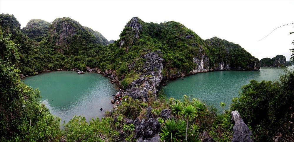 Chỉ riêng trong vùng lõi vịnh Hạ Long đã có khoảng 30 hồ nước mặn độc đáo, được hình thành từ các hố sụt, phễu karst và thung lũng kín với các kích thước khác nhau, đáy cao trên 5m so với cốt bên ngoài. Vì thế, muốn tiếp cận phải trèo qua vách núi vây xung quanh. Ảnh: Ban quản lý vịnh Hạ Long