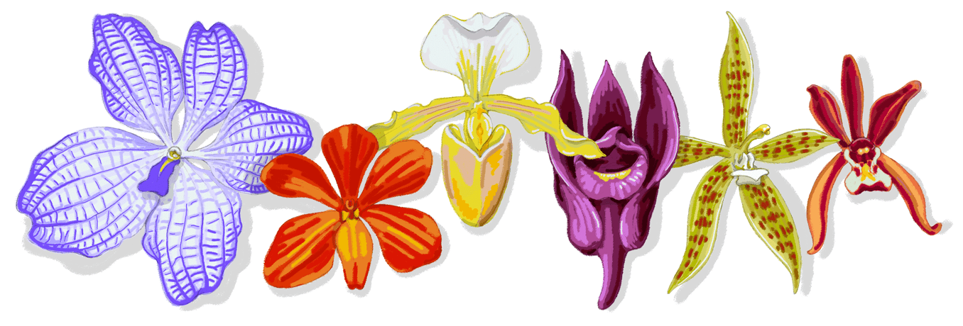 Google Doodle ngày 4.12. Ảnh chụp màn hình.