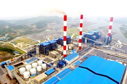 Nợ hơn 6.000 tỉ, cổ phần của Nhiệt điện Quảng Ninh "ế ẩm"