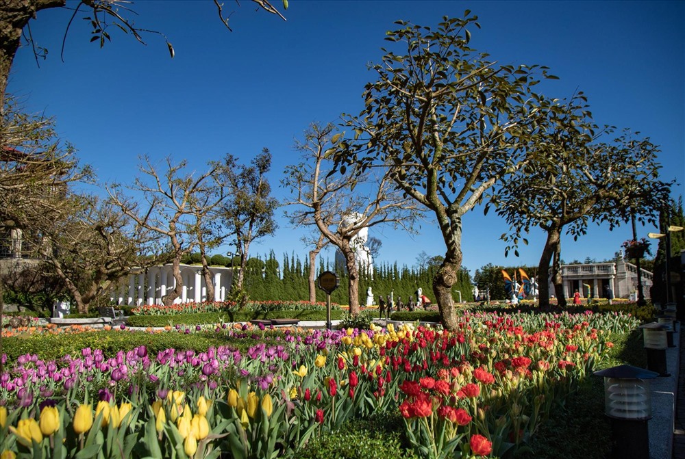 Trăm hoa đua nở tại Sun World Ba Na Hills