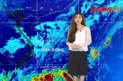 Bản tin Dự báo thời tiết mới nhất đêm nay và ngày mai 13.12
