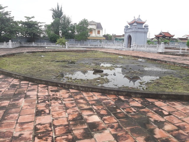 Hồ bán nguyệt cỏ dại lấn át