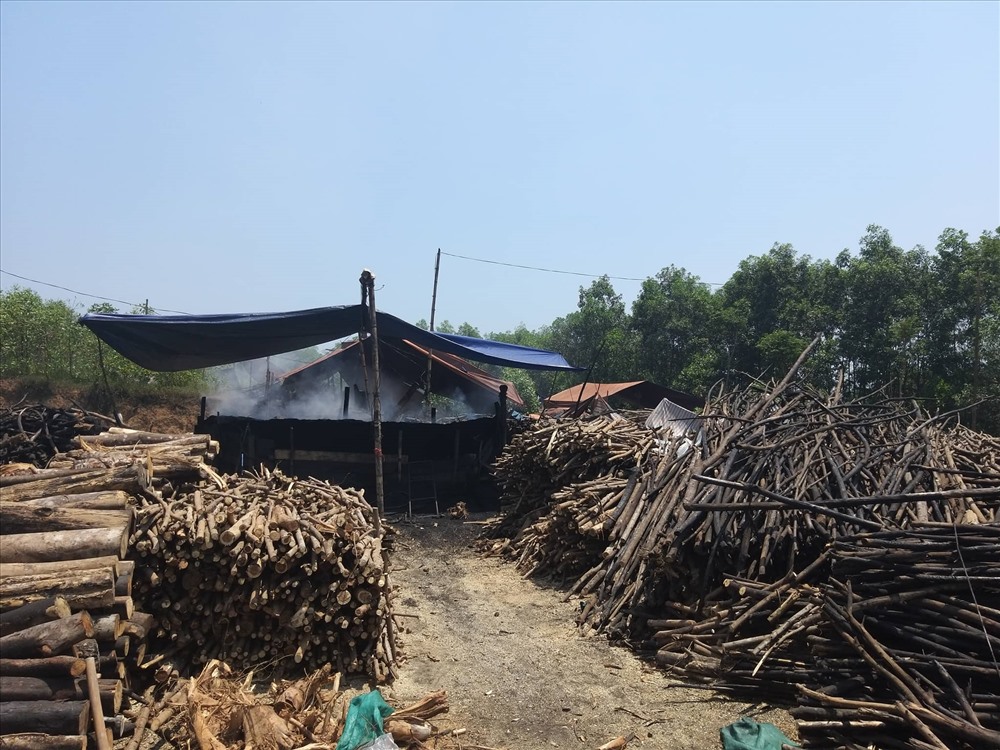 Hàng chục lò đốt than ngang nhiên hoạt động.