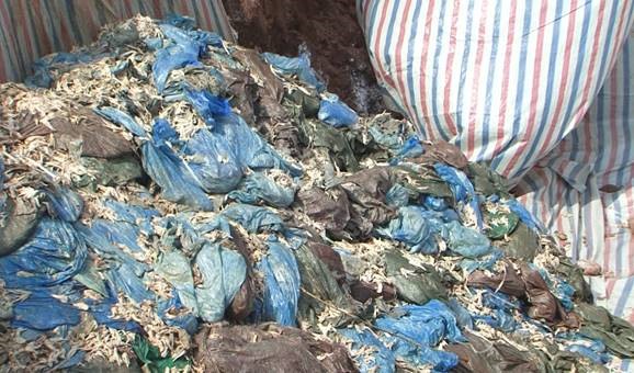 Số chân gà đông lạnh được đem đi tiêu hủy.