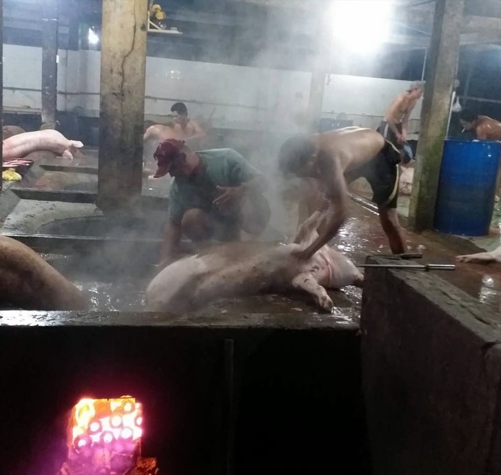 Bạc Liêu kiểm soát chặt các lò giết mổ tập trung (ảnh Nhật Hồ)