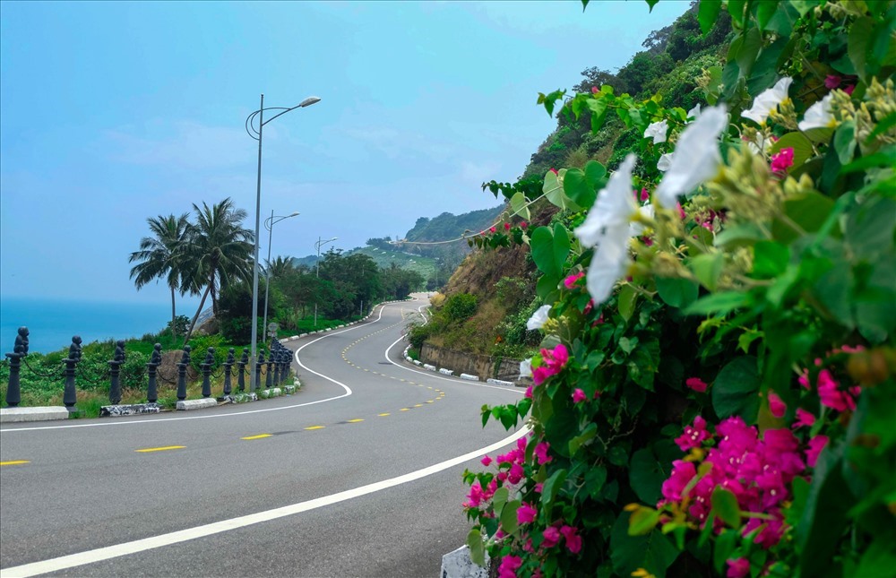 Đường lên bán đảo Sơn Trà. ảnh: H.Vinih