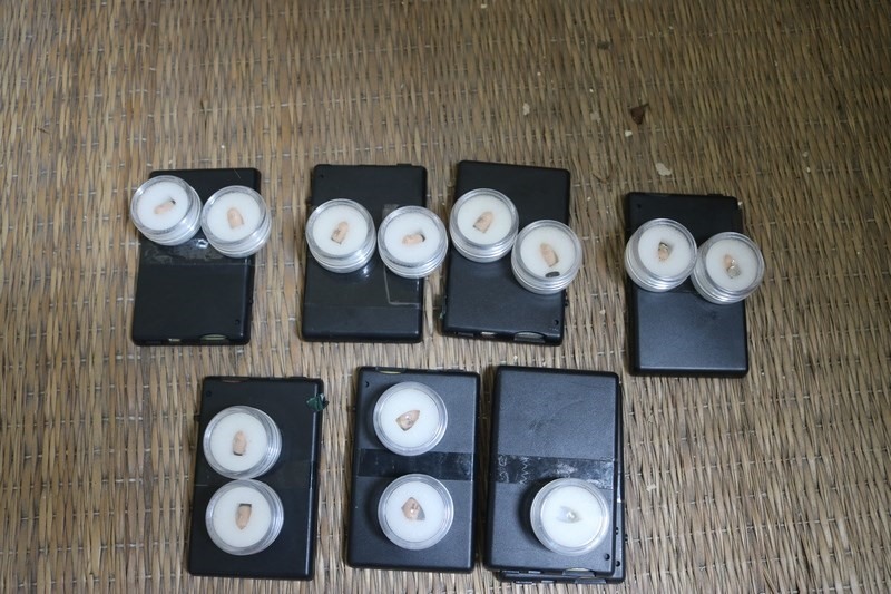 Các thiết bị công nghệ cao nghi được dùng để phục vụ việc gian lận thi cử.
