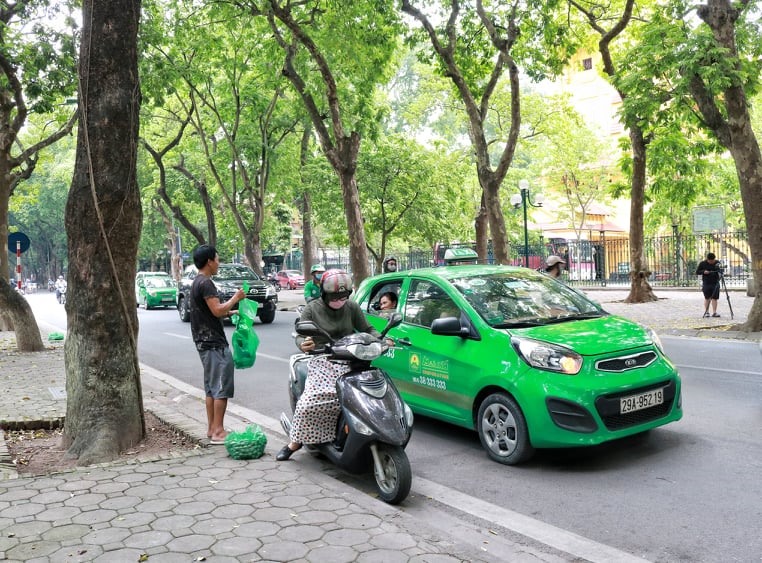 Những túi sấu xanh tươi đầu mùa được rất nhiều người yêu thích.