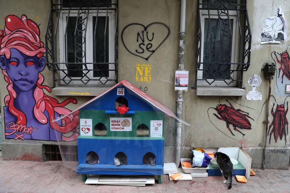 Những ngôi nhà cho mèo ở Istanbul. Ảnh: Reuters