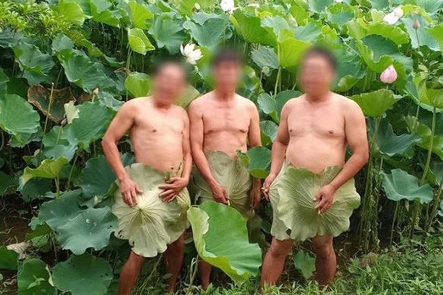 Một số bức ảnh nude gây ầm ỹ trên mạng xã hội tuần qua. Nguồn ảnh: Internet