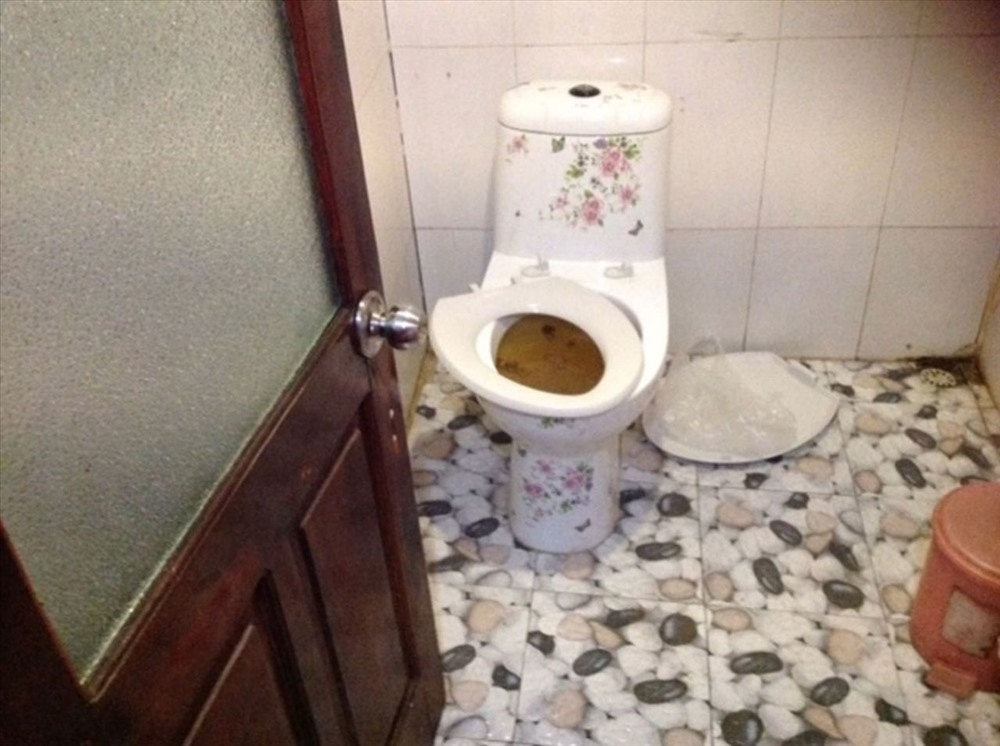 Theo miêu tả của bà Lynne Ryan, phòng ngủ trên tàu đầy gián, toilet thì hỏng, trong khi bữa sáng có bánh mỳ mốc. Ảnh: Lynne Ryan