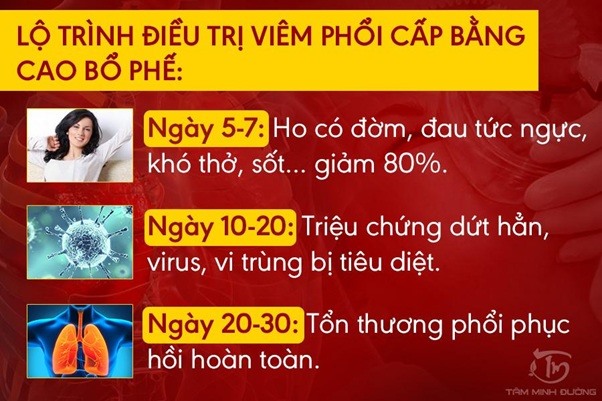 Hiệu quả điều trị viêm phổi cấp nhanh chóng của Cao Bổ Phế